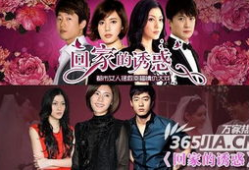 回家的绣惑电视剧,归途之谜，情感纠葛的归家之旅