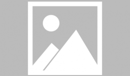 王晓曦主演的电视剧,情感纠葛与成长蜕变